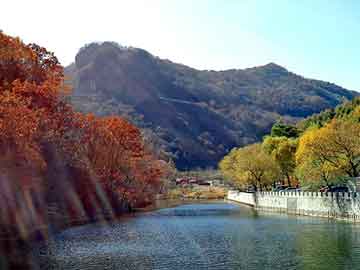 新澳天天开奖资料大全旅游团，都市鬼奇谈